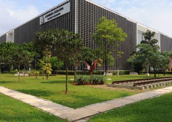 Mais de 70 mulheres tiveram mandatos cassados em 10 anos no país